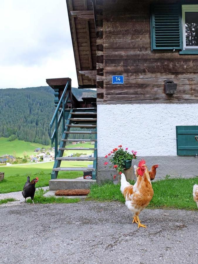 Ferienhaus Asterbach ゴーザウ エクステリア 写真