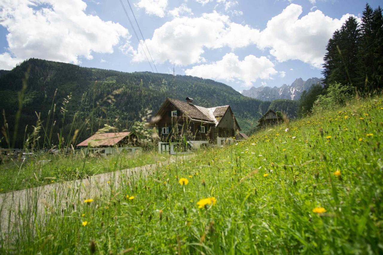 Ferienhaus Asterbach ゴーザウ エクステリア 写真