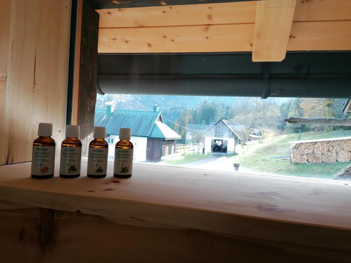 Ferienhaus Asterbach ゴーザウ エクステリア 写真