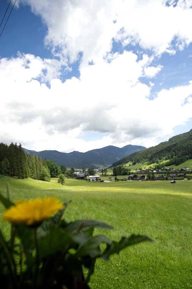 Ferienhaus Asterbach ゴーザウ エクステリア 写真