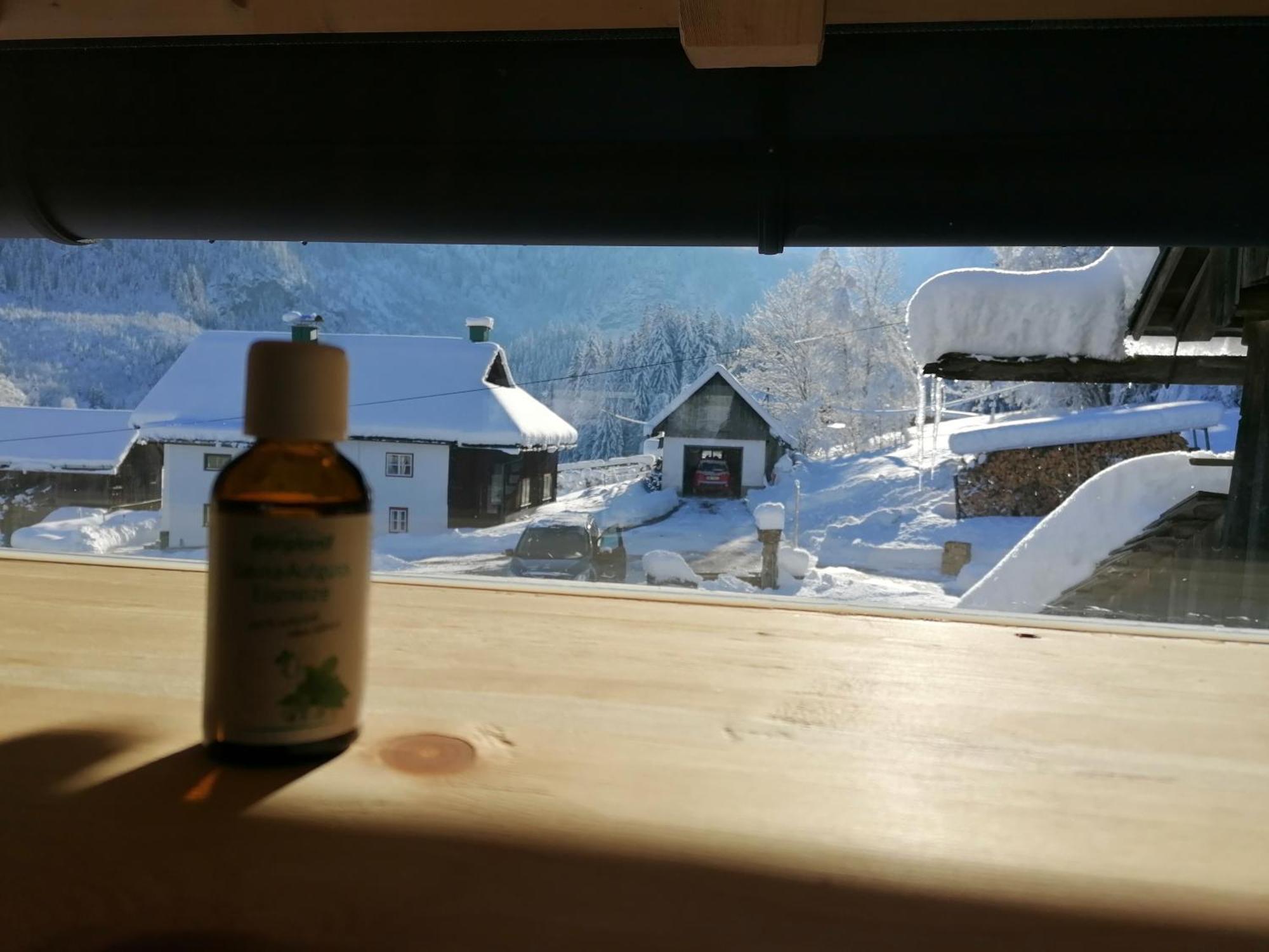 Ferienhaus Asterbach ゴーザウ エクステリア 写真